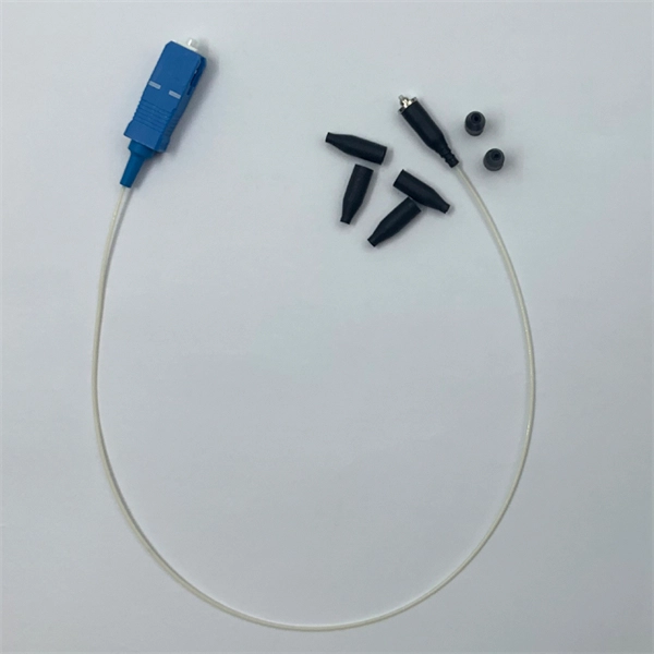Core Switch Applications
