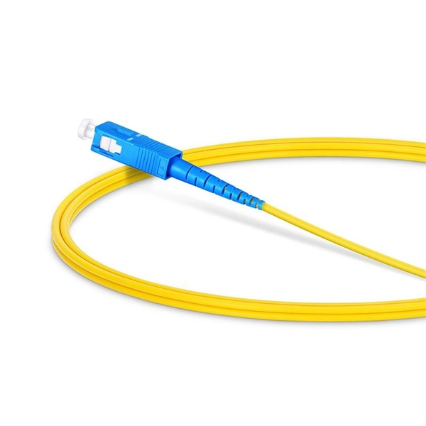 Use a normal router with 100Mbps fiber optic internet